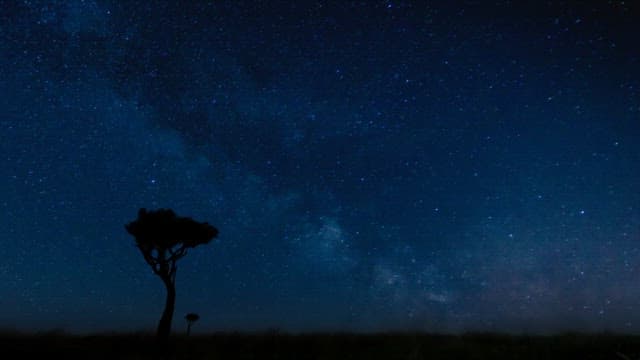 Tranquil Starry Night over Serene Grassland