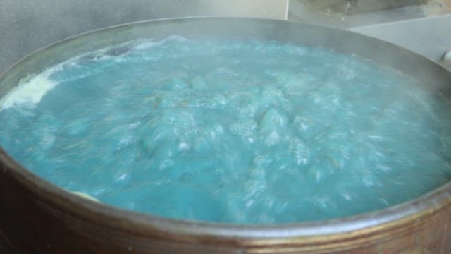 Blue extract from boiling marsh snail in a large cauldron