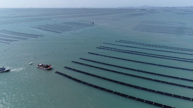 Vast sea farm with ships in sight