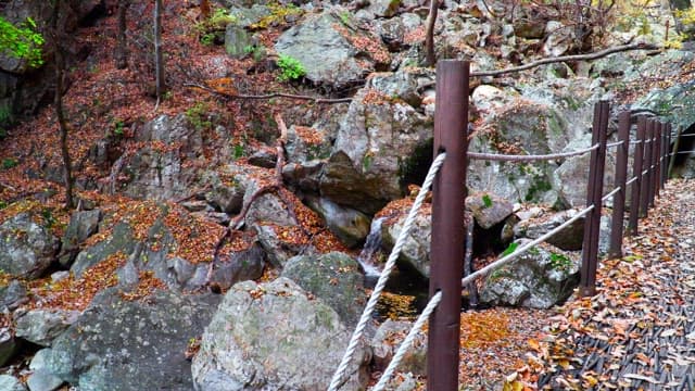 Small waterfall flowing between rocks in the autumn forest