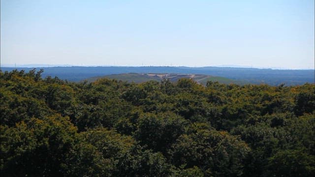 Expansive View Over Lush Forest to Distant Hills