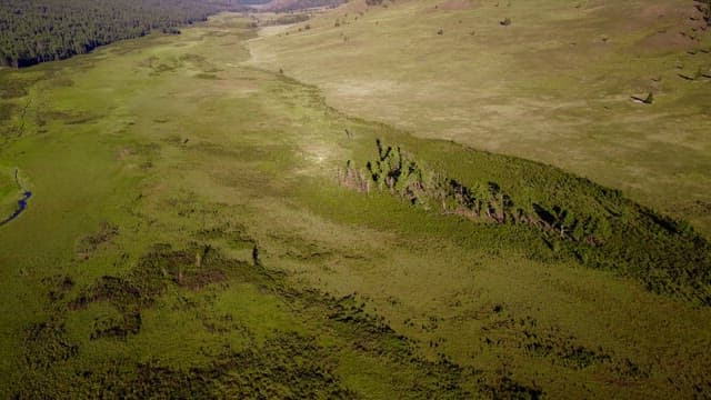 Expansive green landscape with hills