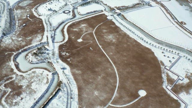 Snowy winter trees and fields