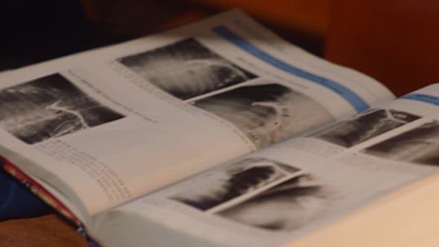 Articles Scraped into Files and Medical Books