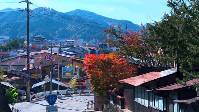 Autumn Foliage Accentuating a Town's Landscape