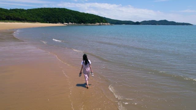 Tranquil Beach Walk with a Scenic View