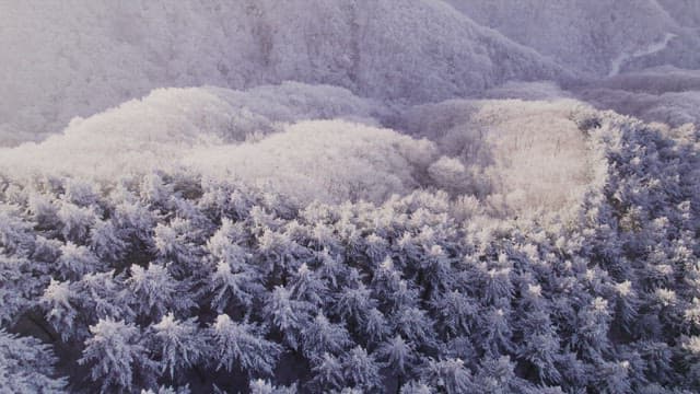 Mountains Covered White with Snow at Dawn