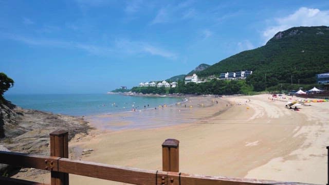 Serene Beach with Visitors