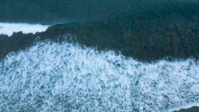 White Foam of Waves Crashing Near the Shore