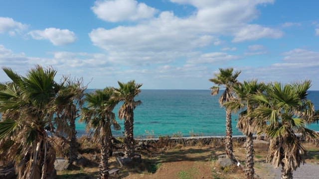 Emerald seascape with palm trees and blue sky