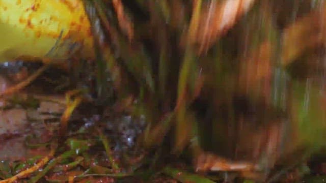 Preparing green onion kimchi in a food processing facility