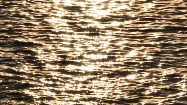 Sunlight reflecting on rippling water