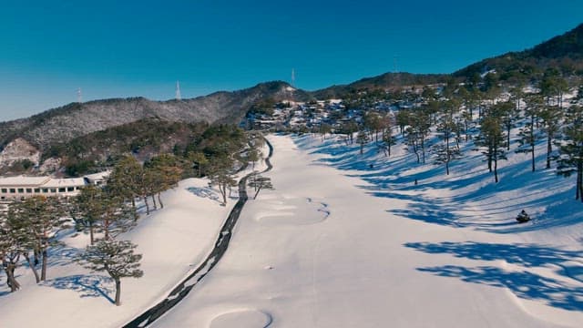Snow-covered landscape with evergreen trees