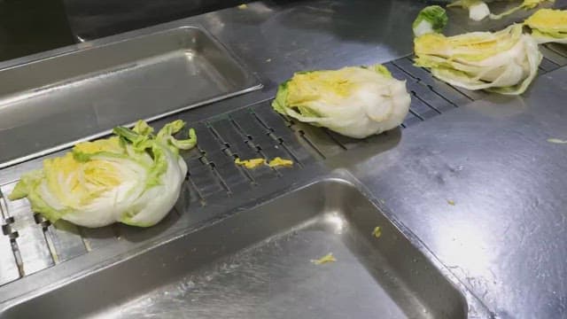 Cabbage being moved on a conveyor belt in a food factory