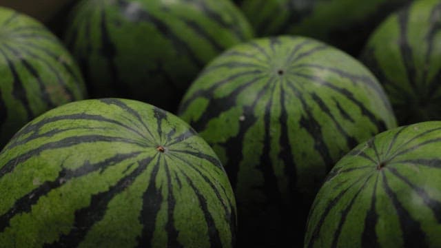 Close-up of fresh watermelons