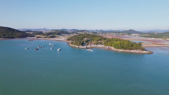 Coastal village with boats and greenery