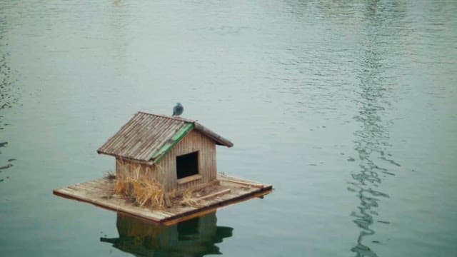 Duck house on a tranquil lake