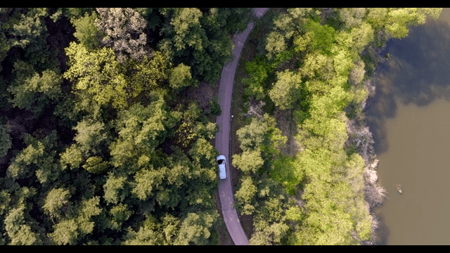 Winding road through a dense forest