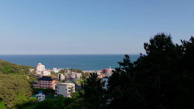 Coastal city with greenery and a picturesque ocean view on a clear day