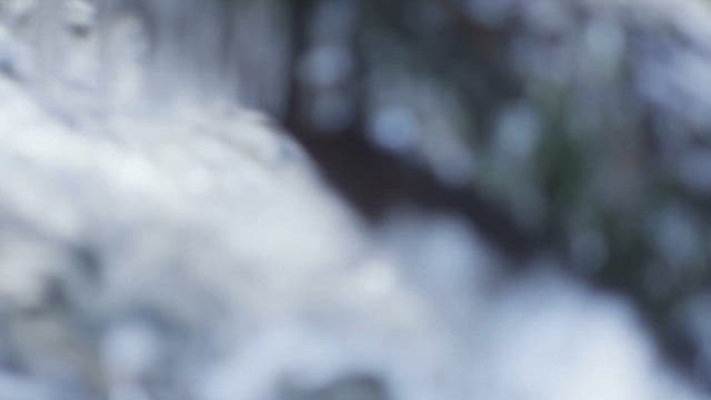 Icicles forming over a flowing stream