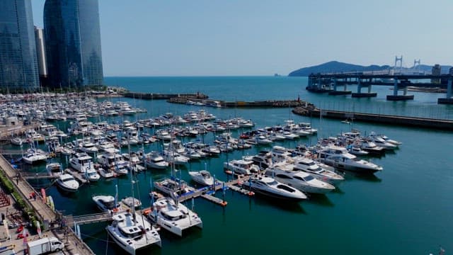 Peaceful yacht marina on the coast with a view of high-rise buildings