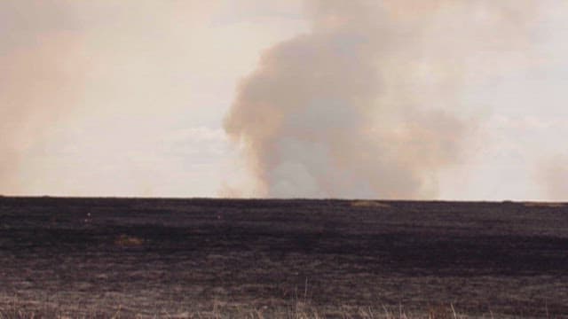 Savanna Grassland Burned to Ashes