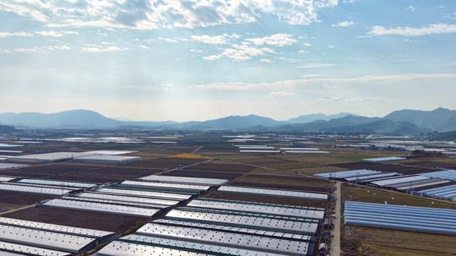 Expansive farmland with greenhouses
