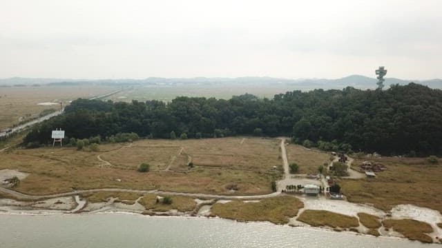 Aerial view of a coastal area with a dense forest and road
