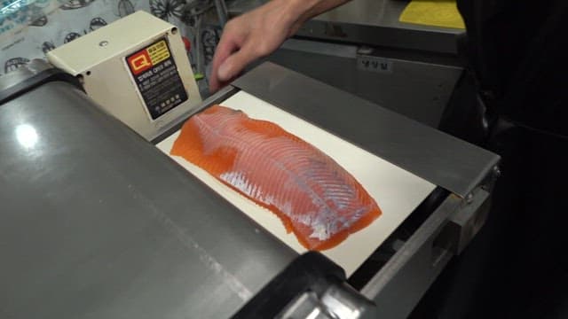 Salmon sashimi cut in the machine