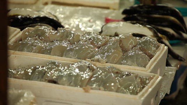 Fresh seafood displayed in market boxes
