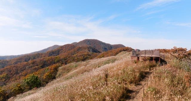 Scenic View of Autumn Mountains and Trail