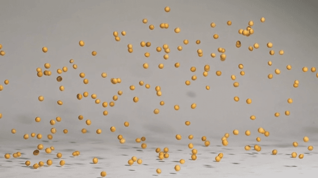 Soybeans falling and bouncing on a surface