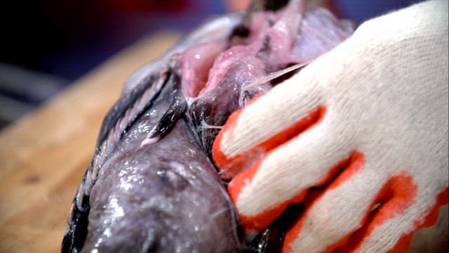 Fresh sea raven being prepared on a cutting board