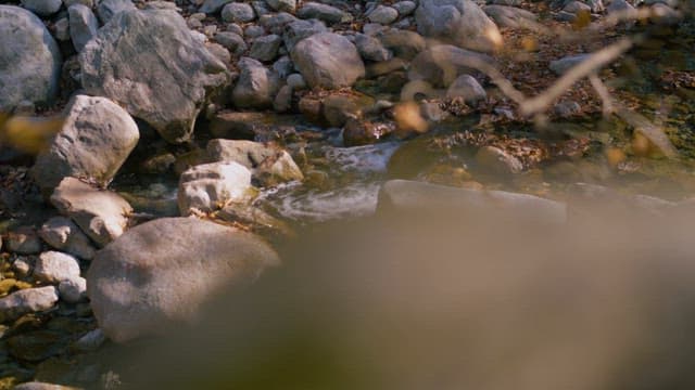 Serene Creek Flowing Through Rocky Terrain