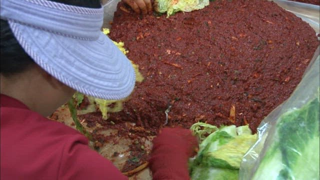 Everyone gathering together to make kimchi with cabbage and seasonings