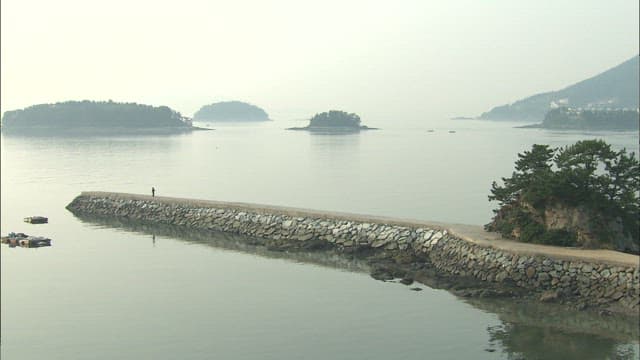 Serene Coastal Landscape with Single Person