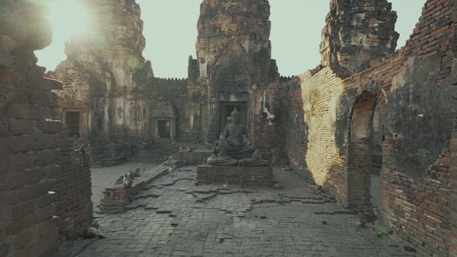 Monkeys and Buddha Statues in a Ancient Sunny Temple Courtyard