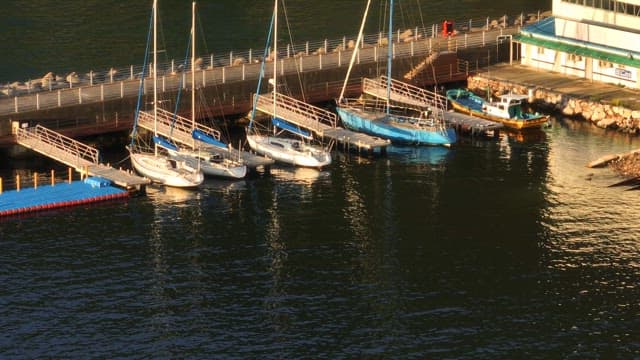 Boats docked at a serene marina