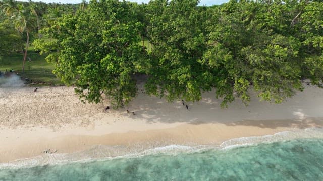 Children running along a quiet beach lined with green trees