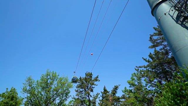 Cable Car Moving Above Trees on a Sunny Day
