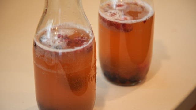 Glass bottles of kombucha made with a scoby on the kitchen counter