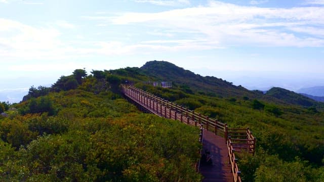 Wooden path winding through lush green mountains on a sunny day