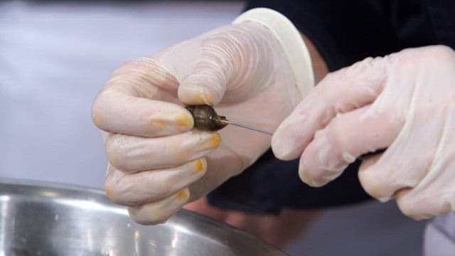 Cleaning a snail and shell with precision