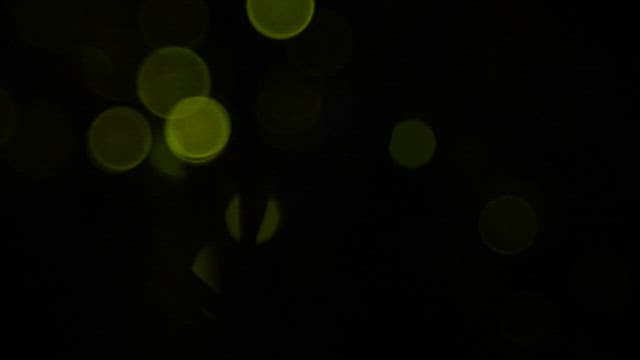 Fireflies that light up the darkness with green light on the blades of grass