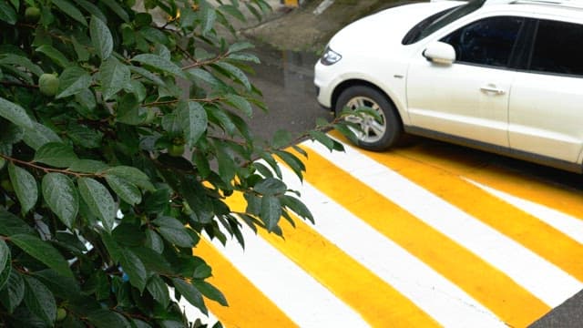Rain-covered leaves next to a white car parked on the street