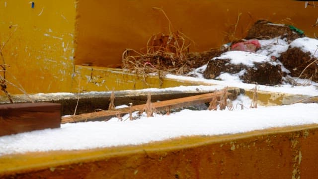 Snow-covered yellow concrete structure with dried plants