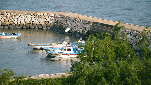 Fishing Boats Anchored Next to a Quiet Breakwater