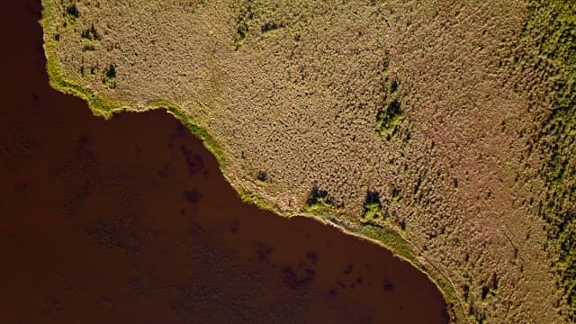 View of a greenery by water
