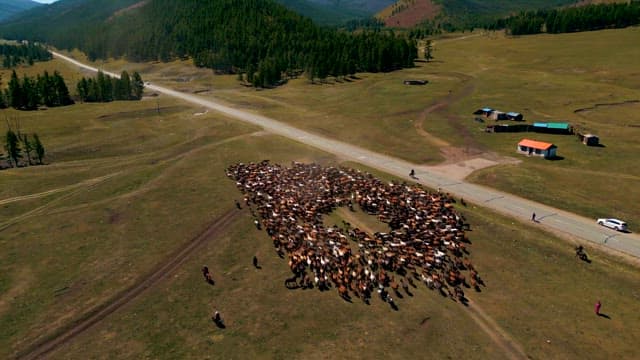 Aerial View of Herdsmen with Horses in Rural Landscape