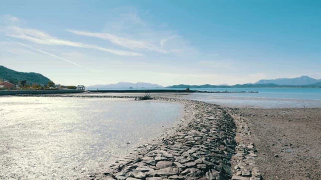 Peaceful Coastal Landscape with Serene Sky